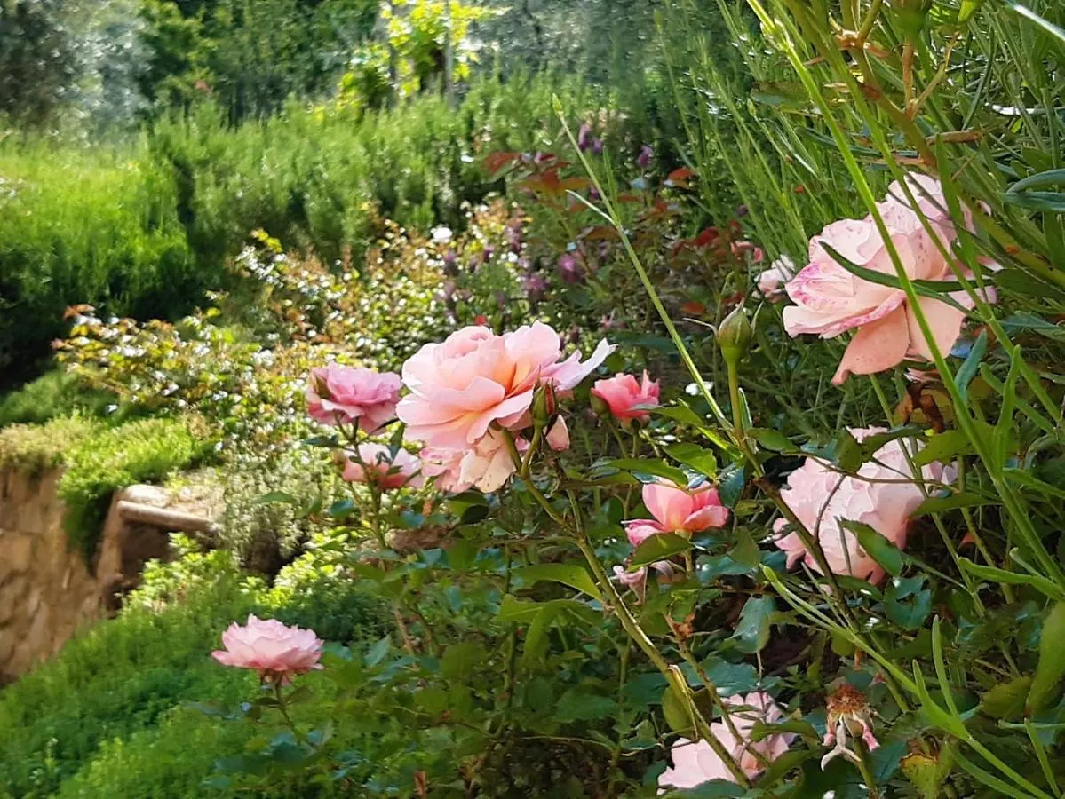 Appartamento Agriturismo Fonteregia Montecatini-Terme Italia